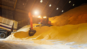 В Минпромторге опровергли дефицит сахара в России